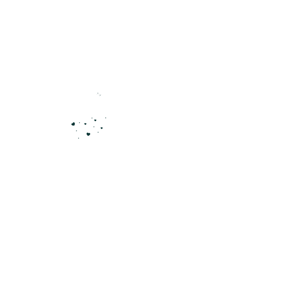 reconnect am 8. November 2024